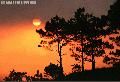 "Sunset in Baguio City"