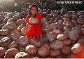 "Lumad Girl and Squash"