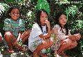 "Lumad Girls Watching"