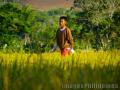 "Working Hard",,
Photographer/Artist: Sarah Seguenza,,
Date Taken: 2010,,
Place Taken: Camarines Sur,,
						